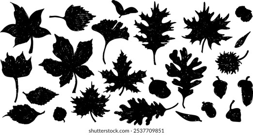set of naturalistic leaf silhouettes vector eco element