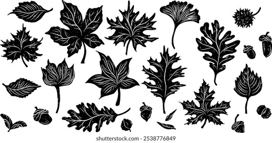 set of naturalistic leaf silhouettes vector eco element