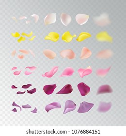 Set of naturalistic rose petals on a transparent background. Yellow, peach, purple, pink, lavender photorealistic petals in different shape and focal distance, big, small, blured Isolated objects.