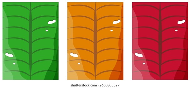 Establecer fondo de naturaleza. Ilustración vectorial de hoja tropical verde macro. Colección de color simple de fondo de la naturaleza del verano. Decoración de pared perfecta Fondo de Web Diseño de Plantilla de Anuncio de verano. EPS 10 