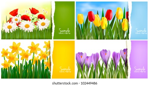 Set of nature backgrounds with colorful spring and summer flowers and ripped paper. Vector.