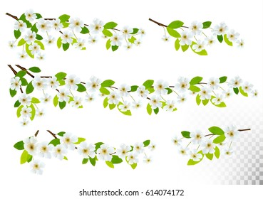 Set of nature backgrounds with spring blossom of cherry. Vector.