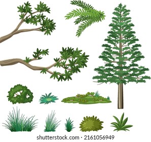 Set of nature forest elements illustration
