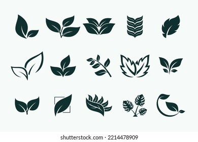 set of nature icon leaves, plant logo element. Creative Bio plant and ecology concept design.