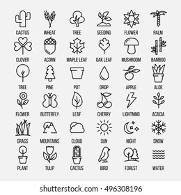 Set of nature icons in modern thin line style. High quality black outline leaves and trees symbols for web site design and mobile apps. Simple linear nature pictograms on a white background.