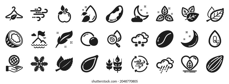 Set of Nature icons, such as Almond nut, Water analysis, Organic tested icons. No alcohol, Leaf, Windy weather signs. Slow fashion, Brazil nut, Snow weather. Gluten free, Snowflake, Peas. Vector
