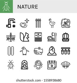 Set of nature icons. Such as Beetle, Cold water, Travel, Asparagus, Ostrich, Insect, Tidal, Squirrel, Onion rings, Ax, Cactus, Cucumber, Penguin, Whale, Eggs, Water filter , nature icons
