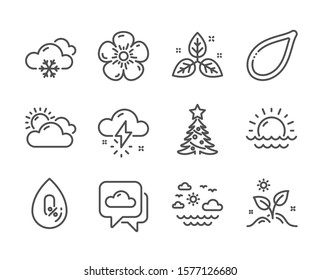 Set of Nature icons, such as Fair trade, Sunset, Weather forecast, No alcohol, Natural linen, Sunny weather, Pumpkin seed, Grow plant, Christmas tree, Travel sea line icons. Leaf, Cloudy. Vector