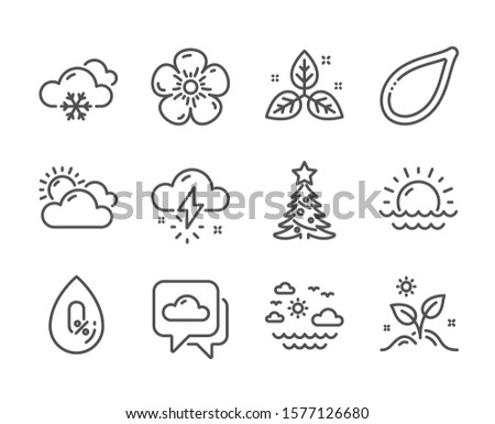 Set of Nature icons, such as Fair trade, Sunset, Weather forecast, No alcohol, Natural linen, Sunny weather, Pumpkin seed, Grow plant, Christmas tree, Travel sea line icons. Leaf, Cloudy. Vector