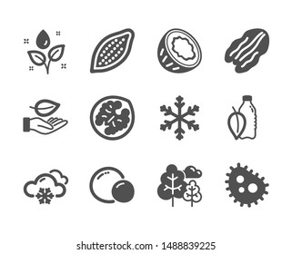 Set of Nature icons, such as Leaf, Cocoa nut, Snowflake, Plants watering, Snow weather, Bacteria, Tree, Walnut, Coconut, Pecan nut, Water bottle, Peas classic icons. Leaf icon. Vector