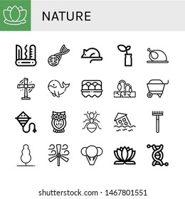 Set of nature icons such as Lotus, Swiss army knife, Gmo, Animal testing, Plant, Chicken, Turbine, Whale, Egg, Drought, Wheelbarrow, Kite, Owl, Ant, Flood, Rake, Tree , nature