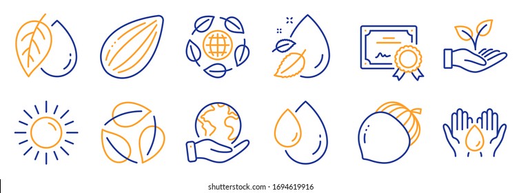 Set of Nature icons, such as Mineral oil, Sun. Certificate, save planet. Almond nut, Water drop, Leaves. Oil drop, Safe water, Acorn. Eco organic, Helping hand line icons. Vector