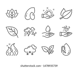 Set of Nature icons, such as Peanut, Leaves, Organic tested, Water care, Mint leaves, Wind energy, Bad weather, No alcohol, Sunny weather, Leaf, Fire energy line icons. Peanut icon. Vector