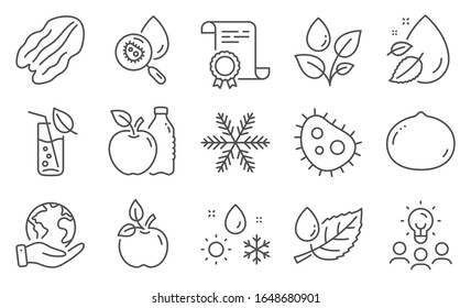Set of Nature icons, such as Pecan nut, Apple. Diploma, ideas, save planet. Eco food, Bacteria, Water drop. Water glass, Leaf dew, Plants watering. Macadamia nut, Snowflake, Weather line icons. Vector