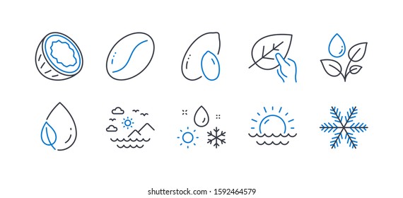 Set of Nature icons, such as Sea mountains, Leaf dew, Coconut, Peanut, Plants watering, Sunset, Weather, Organic tested, Coffee beans, Snowflake line icons. Summer travel, Water drop. Vector