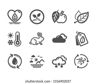 Set of Nature icons, such as Snow weather, Wind energy, Bio tags, Weather thermometer, Leaf, Animal tested, Apple, Startup, Refill water, Local grown, Sea mountains classic icons. Vector