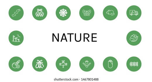 Set of nature icons such as Worm, Cloning, Spider web, Butterfly, Rat, Garbage, Herbal, Moth, Leak, Trap, Corn, Leaves, Plant tree, Bee , nature
