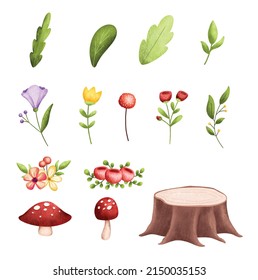 Set of Nature leaves and flowers Illustration 