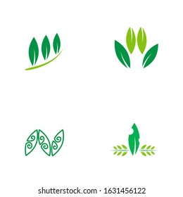 set nature logo design for Agriculture with the concept of green leaves vector. Green nature logo used for agricultural systems, farmers, and plantation products. logo template.