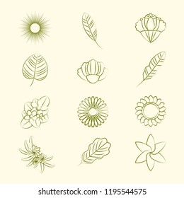 Juego de iconos de la naturaleza