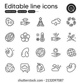 Set of Nature outline icons. Contains icons as Rainy weather, Weather forecast and Leaves elements. Bacteria, Pecan nut, Wind energy web signs. Organic tested, Beans, Natural linen elements. Vector
