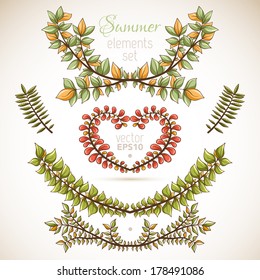 Set of nature summer elements. Hand-drawn branches and leaves.