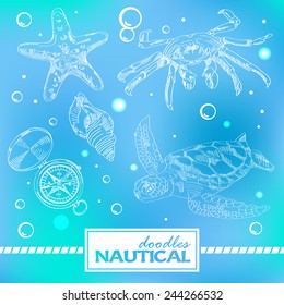 Set of nautical doodles with turtles, crab, shell, compas and sea star on the bubbles background