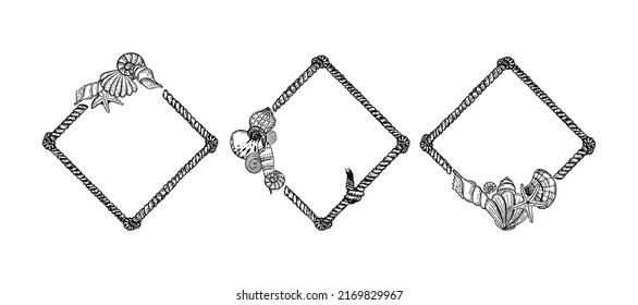 A set of nautical templates. Rope with seashells and starfish, hand-drawn in sketch style. Rope with knots. Sea creatures. Summer. Ocean. Frames for photos, social media and posters.