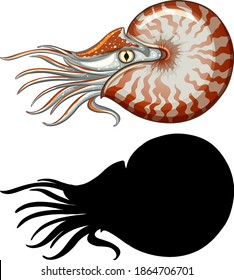 Set of nautilus characters and its silhouette on white background illustration