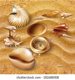 Set of navigation tools and  sea-shells, isolated on sand background