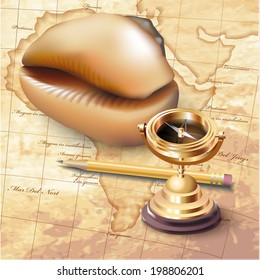 Set of navigation tools and a shell. Vector illustration 