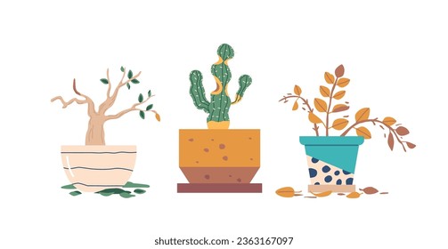 Set Of Neglected Houseplants, Drooping Leaves And Parched Soil, Portraying A Sad Scene Of Botanical Despair