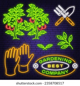 Juego de herramientas de jardín de neón y icono de accesorios. Vector. Icono de diseño de luz de neón colorido, guantes de herramientas de jardín de seguridad, palangana de jardín manual, rastrillo, plántulas de tomate, hoja.