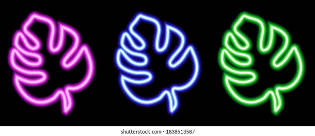 Set of neon monstera leaves. Luminous elements for your design on black background. Trendy element for your design. Natural organic concept