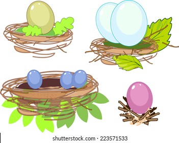 Set of nest with colored eggs