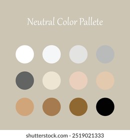 Set of Neutral Color Palette. Color swatch for fashion, home, interiors, design. Colour chart idea.