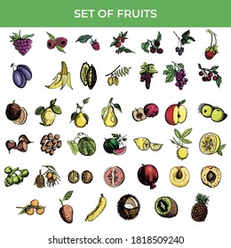 Set of new trendy fruits icon pack vector design illustration