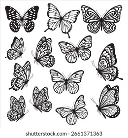 Set of nice vector butterfly image