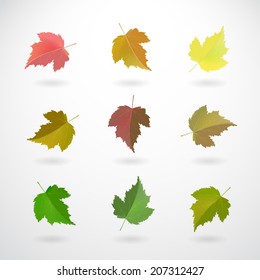 Set of nine colorful currant leaves tree. Vector isolated elements. EPS 10