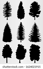 Set of nine conifers. Set for the design of various works, brochures, posters, etc. Vector illustration.