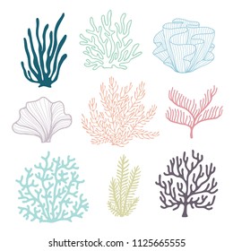 Set of Nine Corals. Vector illustration 