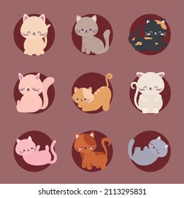 set of nine cute cats