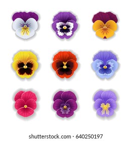Set of nine cute pansy flower in paper art style isolated on white background. Origami style. Vector illustration.