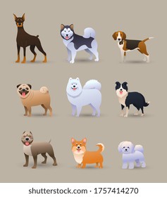 Set of nine different dog breeds standing in side view. They are looking at the camera and have shadows below, colored vector illustration
