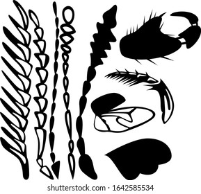 A set of nine different insect parts. Antennae, chitin, and insect wings. Vector illustration.