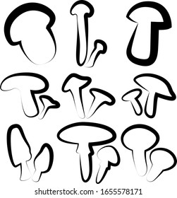 A set of nine different mushrooms. Creative art. Volnushki, Russula, Morel, valuy, etc. Vector illustration.