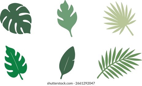 A set of nine different tropical leaves arranged on a white background.