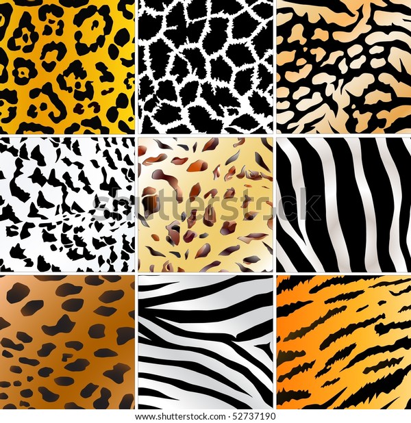 Download Set Nine Different Wild Animals Skin Stock Vector Royalty Free 52737190