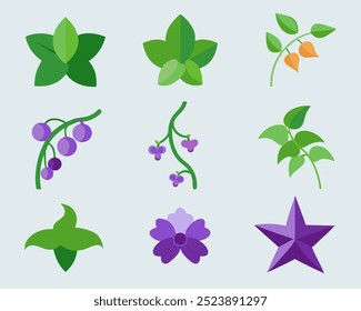 A set of nine flat-style illustrations featuring various types of plants and flowers, perfect for adding a touch of nature to your designs.  Use them for websites, apps.