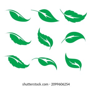 Set of nine green leaves vector icon on a white background. Elements for eco, medical, pharmacy and bio logos. 